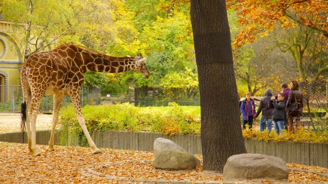Berlin Zoo Hardenbergplatz