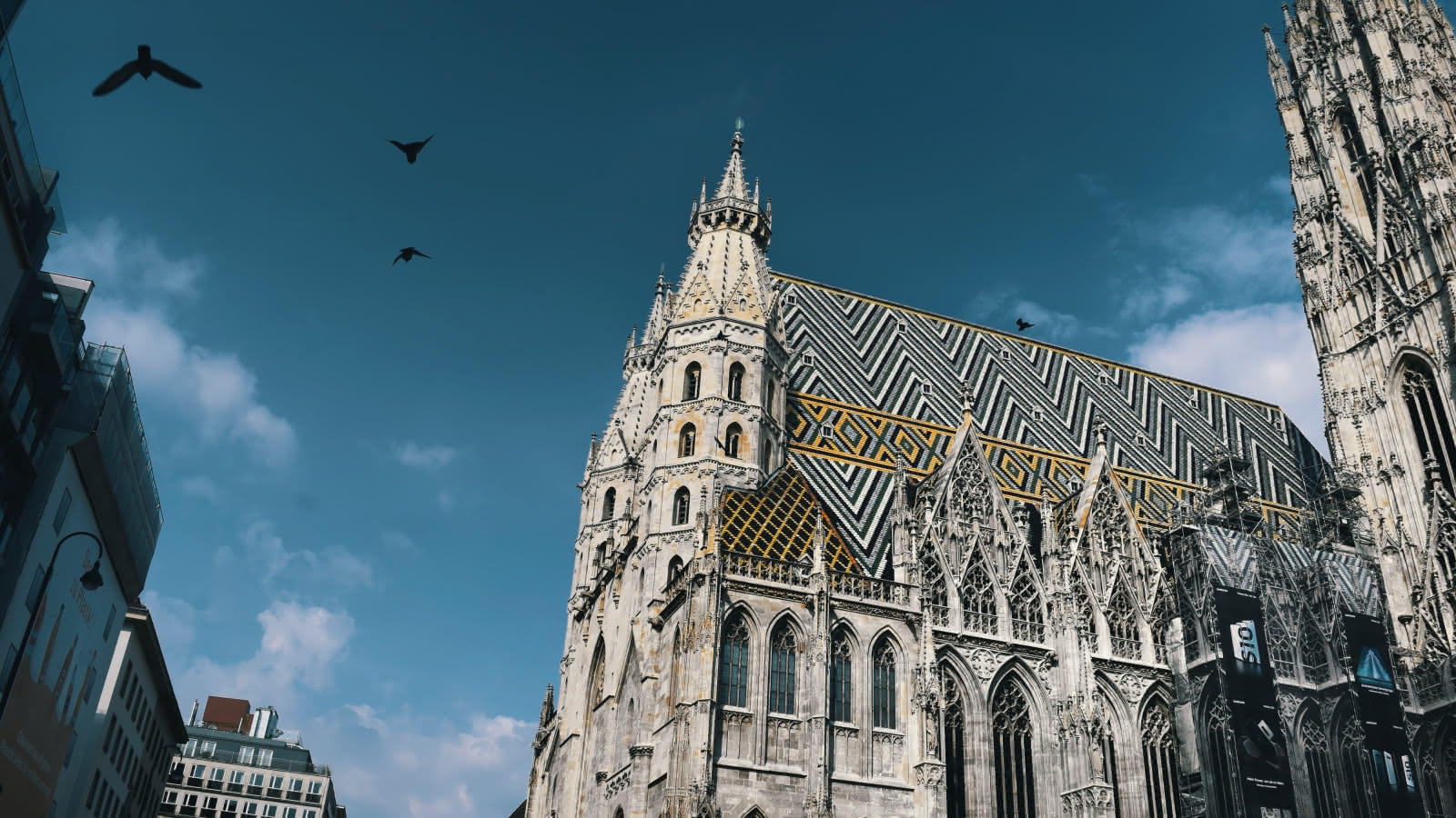 St. Stephen’s cathedral in vienna